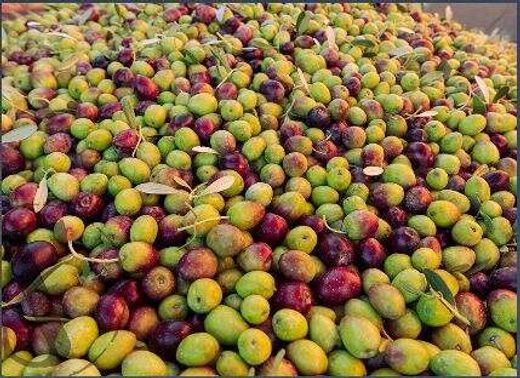 Участок, Бадахос, Provincia de Badajoz