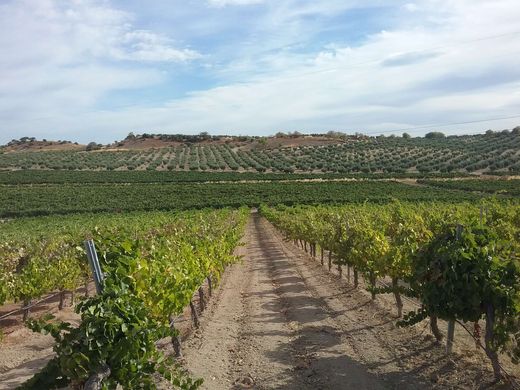 토지 / Bienvenida, Provincia de Badajoz