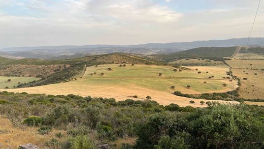 Grundstück in La Calzada de Calatrava, Ciudad Real