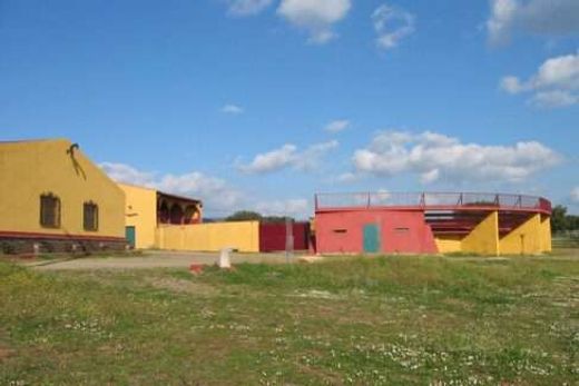 Grundstück in Torrejón el Rubio, Cáceres