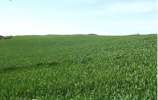 Land in Badajoz, Extremadura