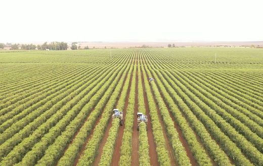 Land in Badajoz, Extremadura