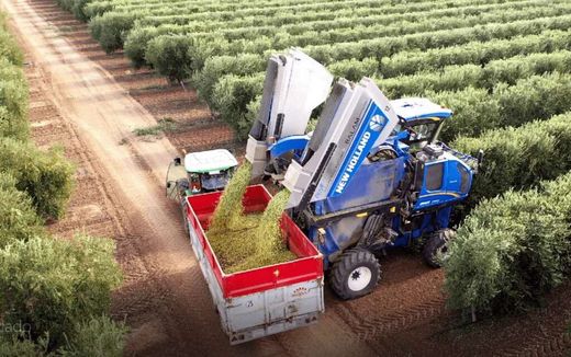 Grond in Badajoz, Provincia de Badajoz