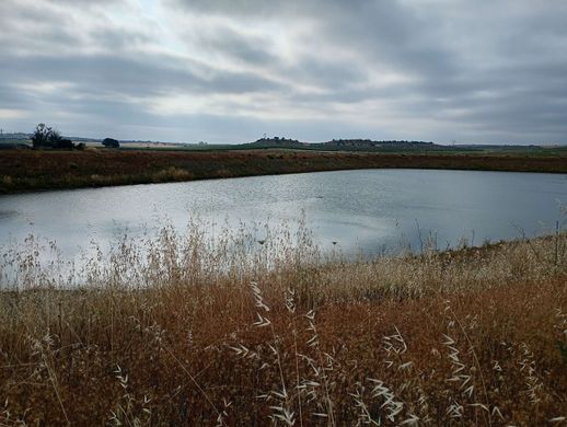 Teren w Bienvenida, Provincia de Badajoz