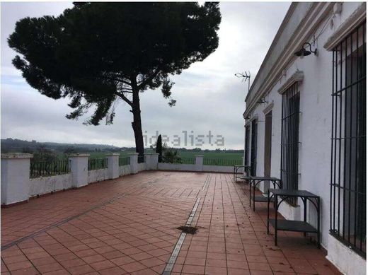 地皮  Badajoz, Provincia de Badajoz