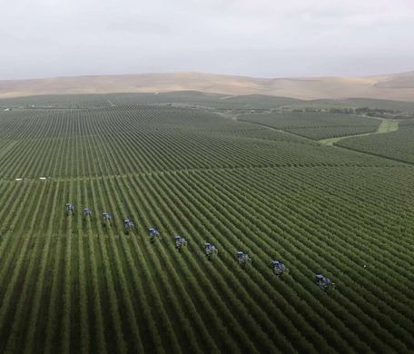 地皮  Badajoz, Provincia de Badajoz