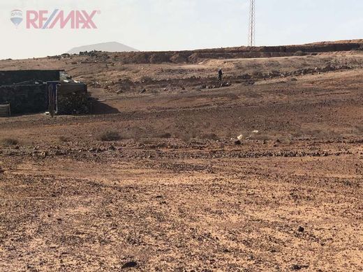 Land in Teguise, Province of Las Palmas