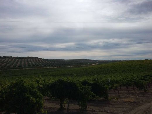 أرض ﻓﻲ باداخوز, Provincia de Badajoz
