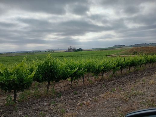 Grond in Bienvenida, Provincia de Badajoz