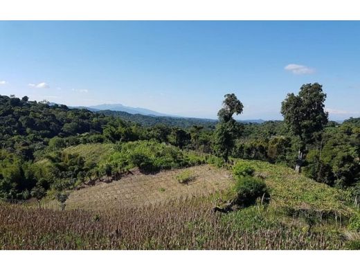 Boerderij in Sacacoyo, Departamento de La Libertad