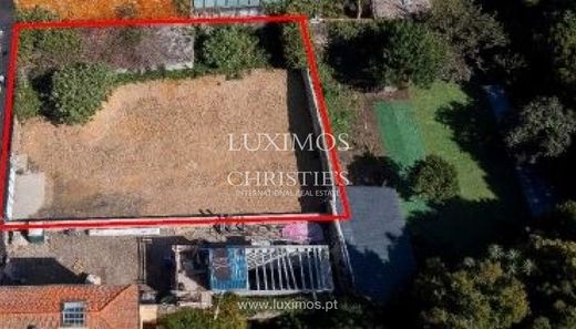 토지 / 포르투, Porto