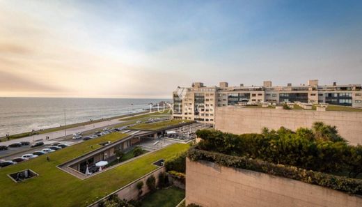 Residential complexes in Leça da Palmeira, Matosinhos