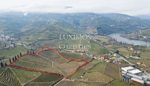 Farm in Cambres, Lamego