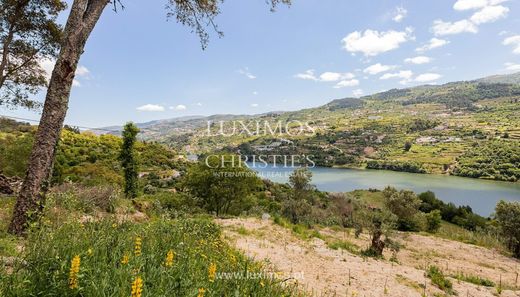 Santa Cruz do Douro, Baiãoの農園