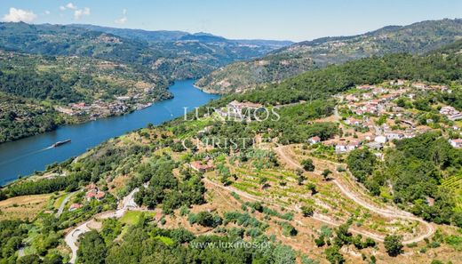 Farm in Santa Cruz do Douro, Baião