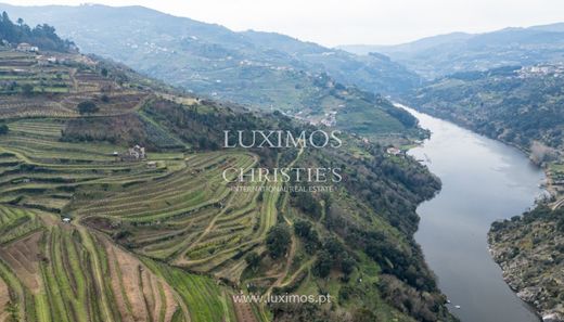 Fattoria a São Martinho de Mouros, Resende