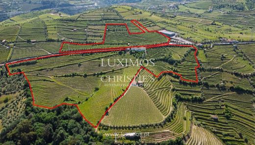 Finca en Cambres, Lamego