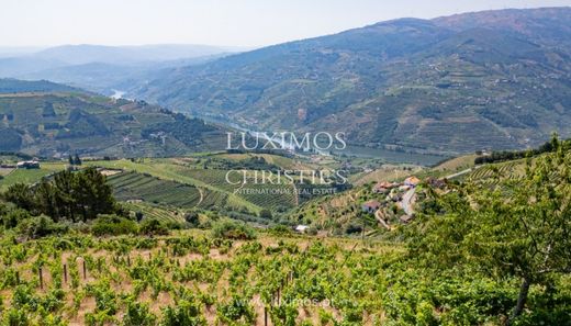 Fattoria a Vila Marim, Mesão Frio