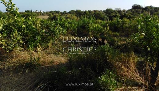 Farm in Luz de Tavira e Santo Estêvão, Tavira