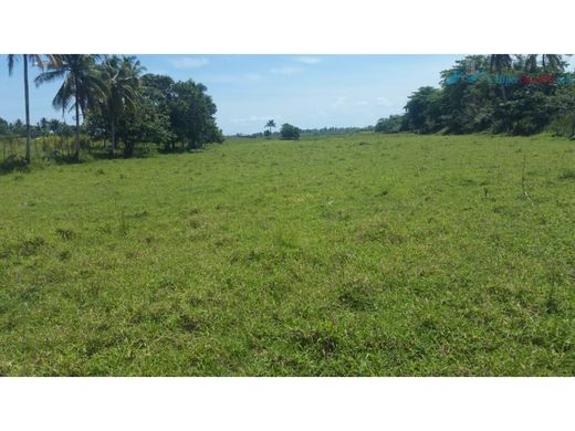 Nagua, Provincia María Trinidad Sánchezのカントリー風またはファームハウス