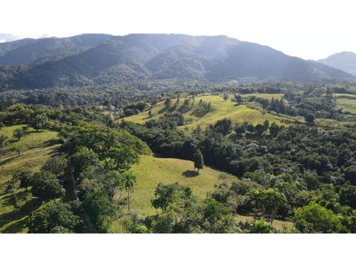 Grundstück in Jarabacoa, Provincia de La Vega