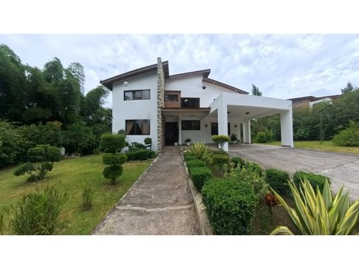 Gospodarstwo w Jarabacoa, Provincia de La Vega