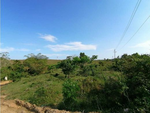 Rustico o casale a Santo Domingo, Santo Domingo De Guzmán