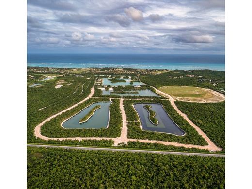 Punta Cana, Higüeyの土地