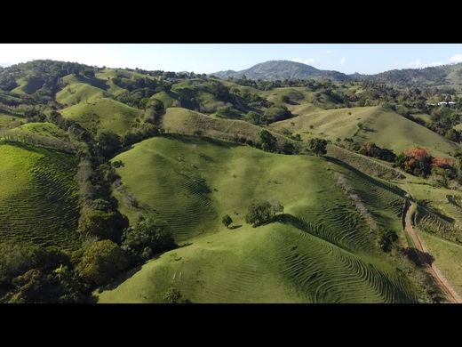 Ferme à Jarabacoa, Provincia de La Vega