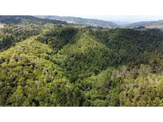 Cortijo o casa de campo en Jarabacoa, Provincia de La Vega