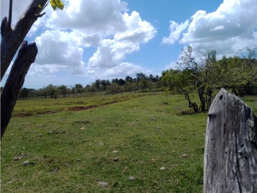 Farmhouse in Santo Domingo, Santo Domingo De Guzmán