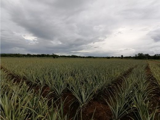 Cortijo o casa de campo en Monte Plata, Provincia de Monte Plata