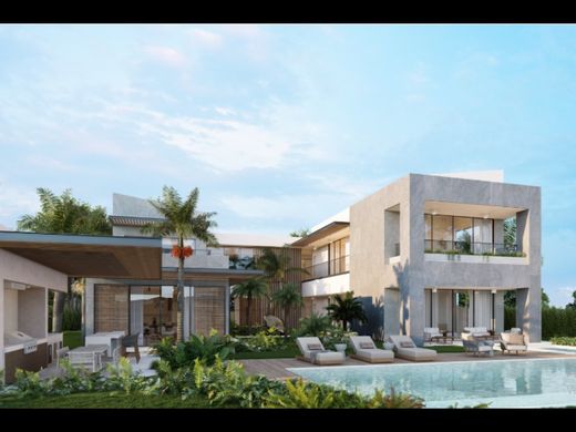 Country House in Punta Cana, Higüey