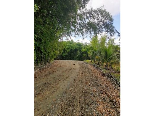 Farmhouse in Santo Domingo, Santo Domingo De Guzmán