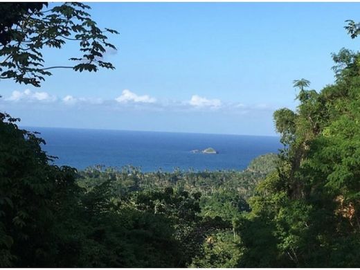 Las Terrenas, Samaná Provinceのカントリー風またはファームハウス