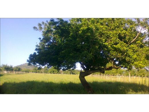 Ferme à Higüey, Provincia de La Altagracia