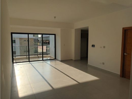 ﺷﻘﺔ ﻓﻲ Santo Domingo, Santo Domingo De Guzmán