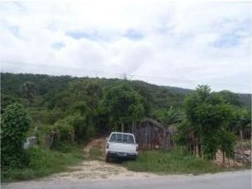 Terreno en La Ciénaga, Provincia de Barahona