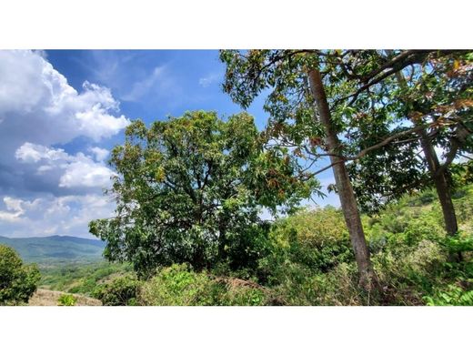 Grond in La Ciénaga, Provincia de Barahona