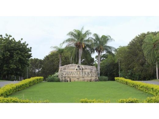 Terrain à San Pedro de Macorís, Provincia de San Pedro de Macorís