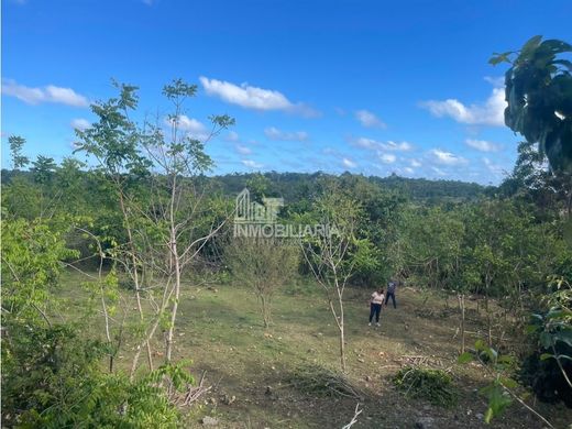 Land in Samaná, Samaná Municipality