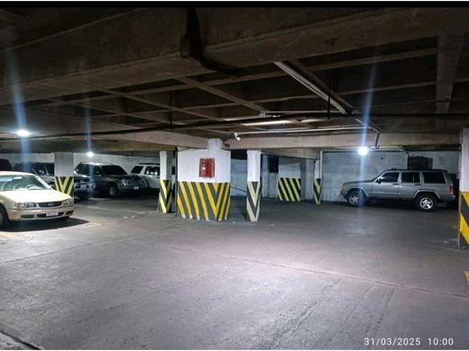 地皮  卡拉卡斯, Municipio Libertador