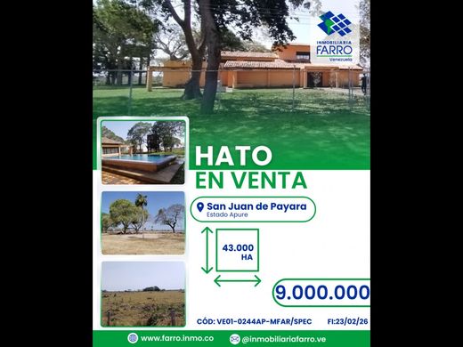 Farmhouse in San Juan de Payara, Municipio Pedro Camejo