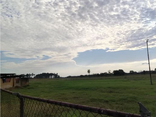 Teren w Barinas, Municipio Barinas