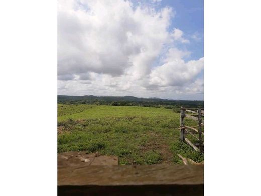 Farmhouse in Coro, Estado Falcón