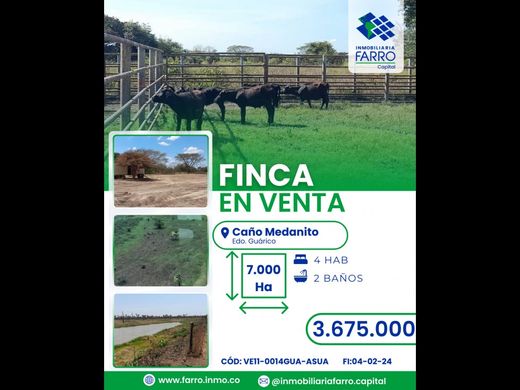 Cortijo o casa de campo en Camoruco, Estado Guárico