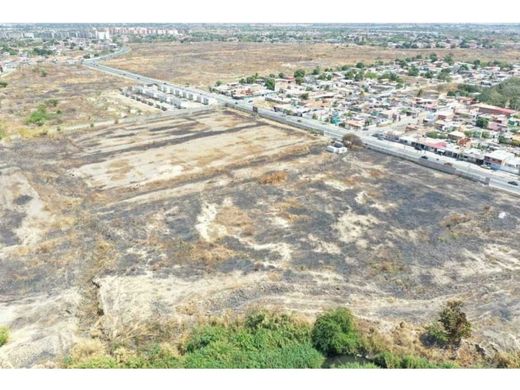 Land in Valencia, Municipio Valencia