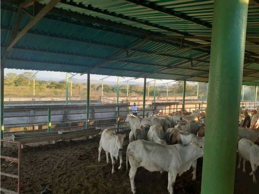 Quinta rústica - Tinaco, Municipio Tinaco