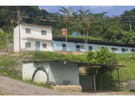 Arsa Nueva Caracas, Distrito Capital