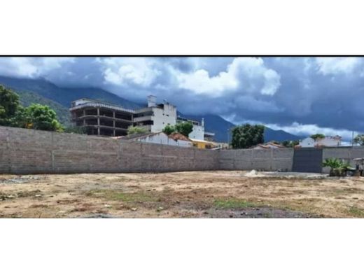 Arsa Karakas, Municipio Libertador